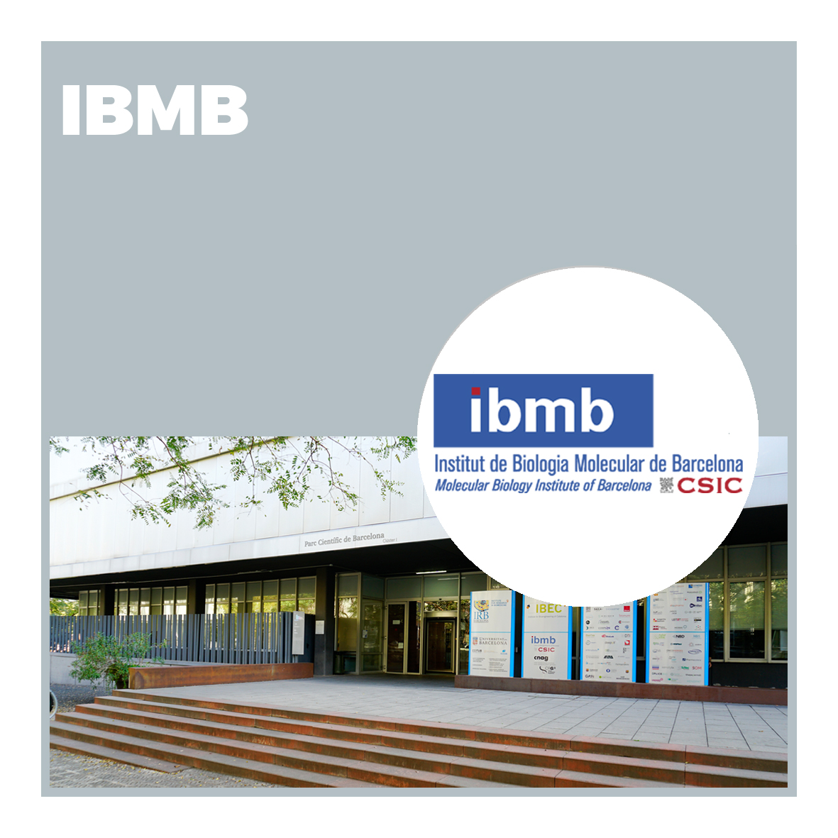 Instituto de Biología Molecular de Barcelona (IBMB)