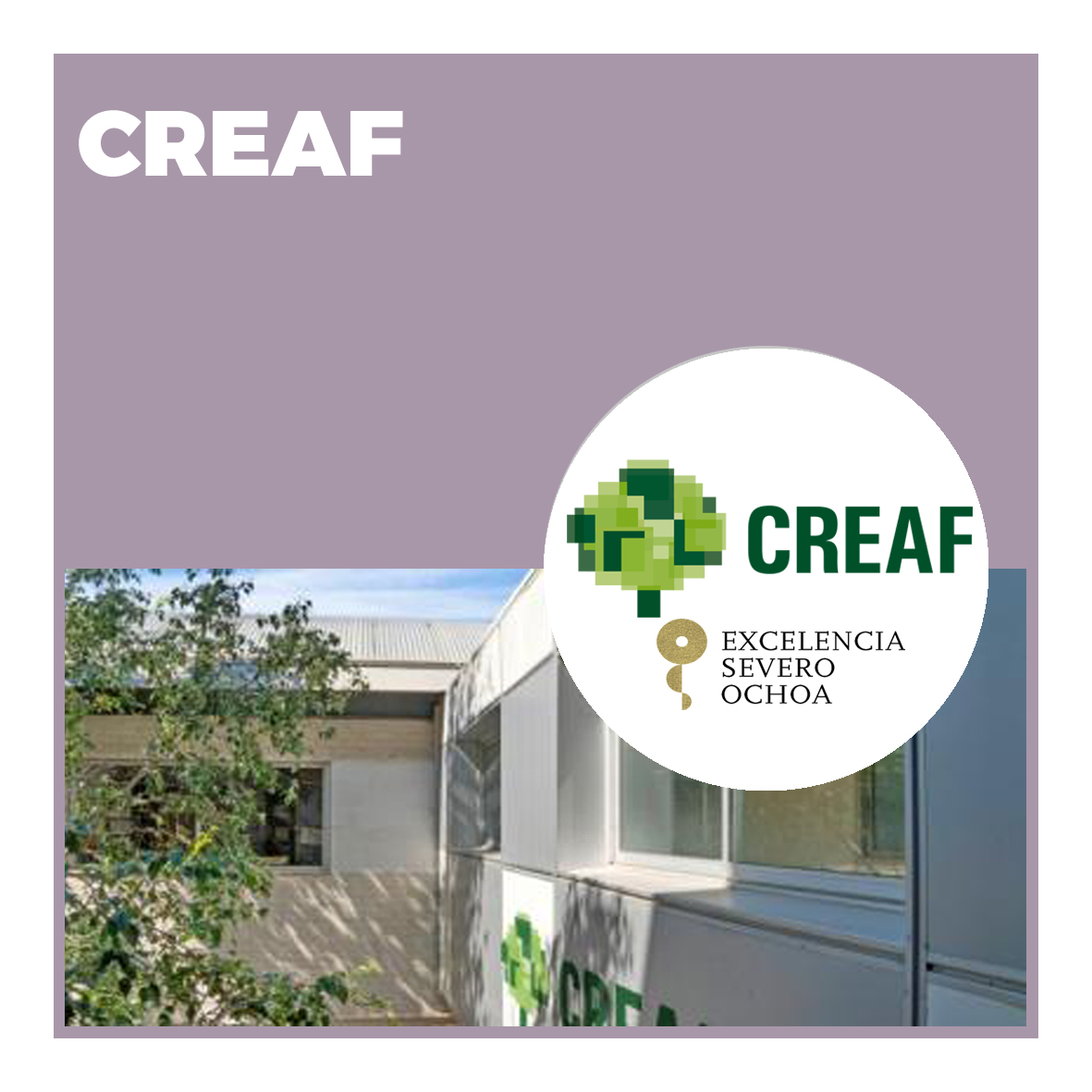 Centro de Investigación Ecológica y Aplicaciones Forestales (CREAF)