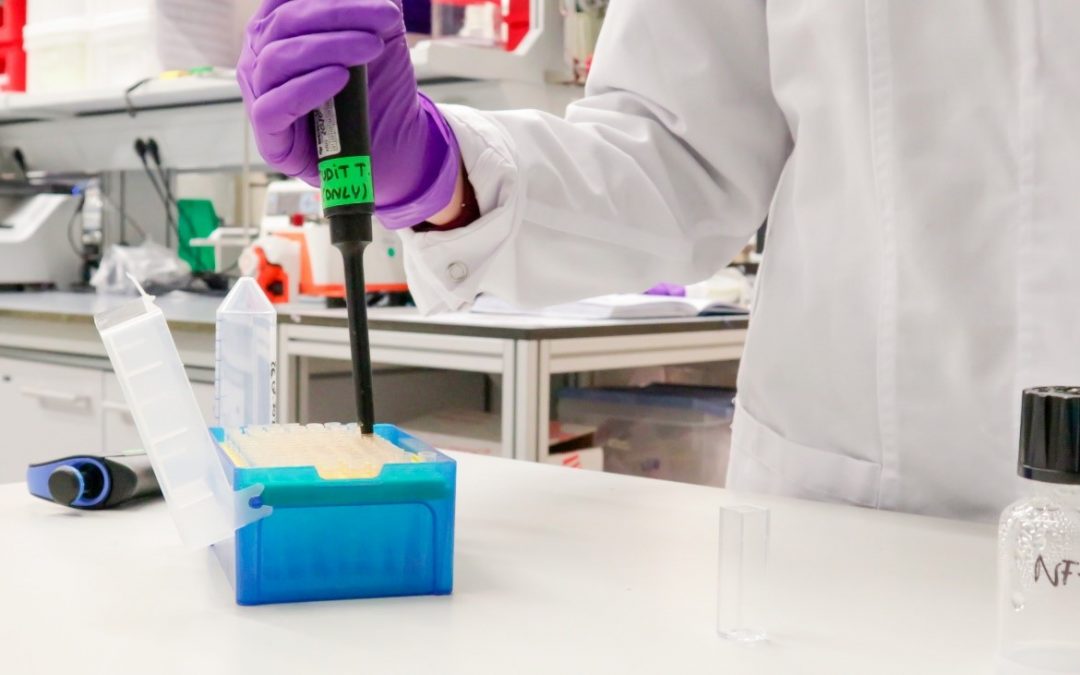 Una nova infraestructura europea facilitarà la transferència de nanofàrmacs des del laboratori fins a la pràctica clínica