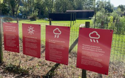 El Parc Neolític de la Draga acull l’exposició «Patrimoni submergit en risc»