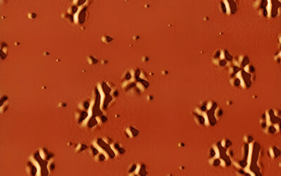 Observen per primer cop a escala nanomètrica com els vidres es transformen en líquids en incrementar la temperatura