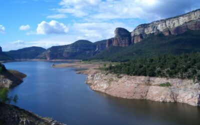 Un estudi revela que alguns llacs concentren més plàstic que les grans zones d’acumulació dels oceans