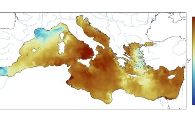 Advierten de la necesidad de separar la tendencia al calentamiento a la hora de detectar olas de calor marinas
