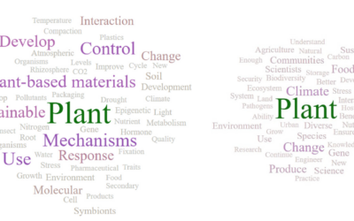 Un estudi conclou que ChatGPT subestima la urgència climàtica en l’estudi de les plantes