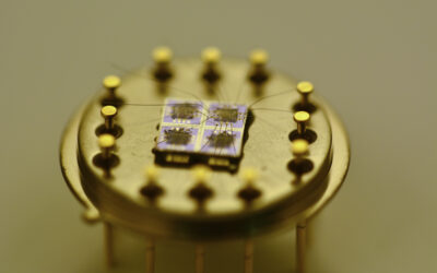 El CSIC fabrica microsensors per monitorar els processos de fermentació i criança del vi