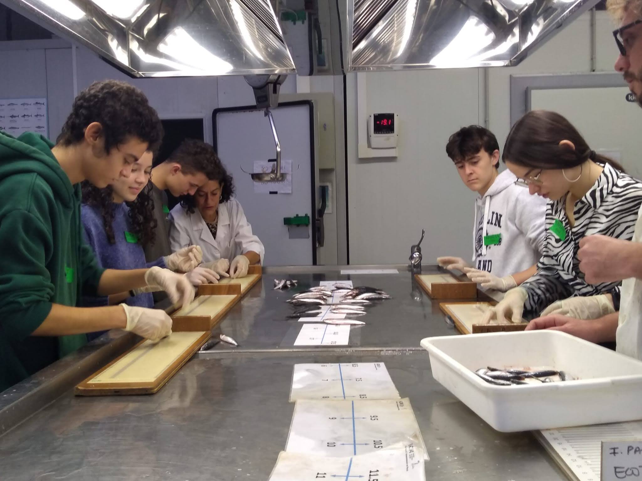 Imatge jornada portes obertes CMIMA-CSIC
