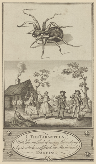 THE TARANTULA With the method of curing those stung by it, which is effected by Music and DANCING - specifically, by dancing the tarantella, circa 1770
