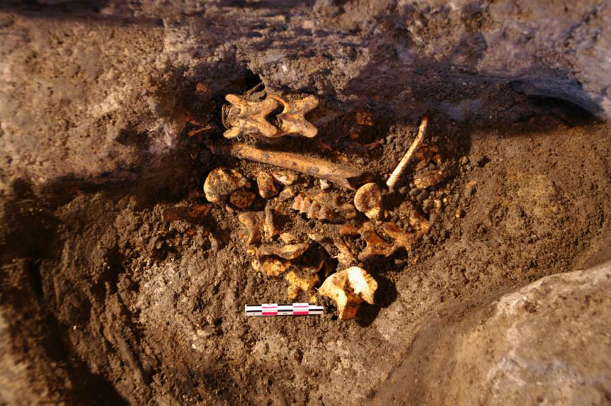 L’equip de recerca i les troballes arqueològiques al jaciment de Coro Trasito. (UAB) L’equip de recerca i les troballes arqueològiques al jaciment de Coro Trasito. (UAB)