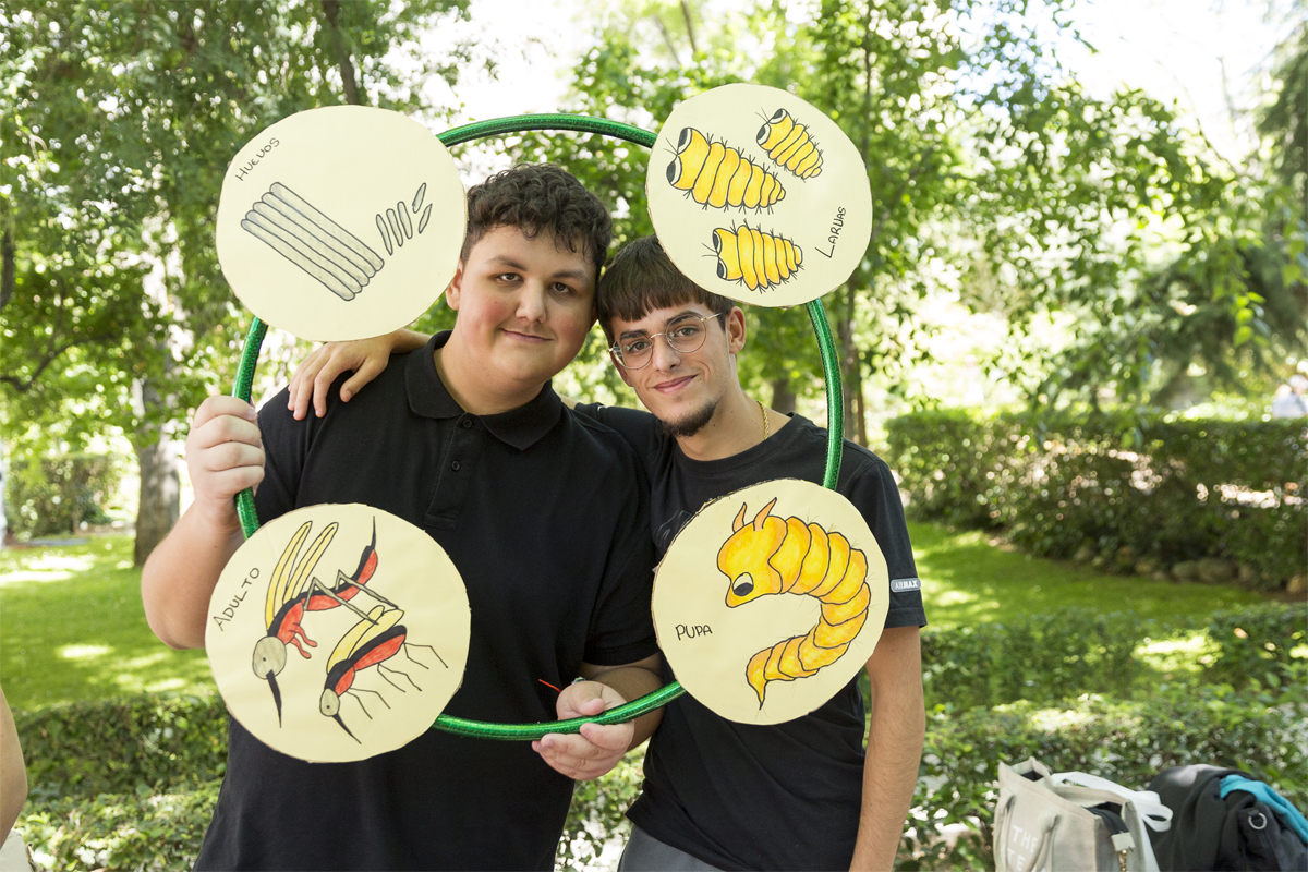 Durant la fira, alumnat de primària, secundària i batxillerat exposa treballs sobre malalties transmeses per mosquits davant un jurat format per especialistes en salut pública, entomologia i divulgació. / Elisa Mora Durant la fira, alumnat de primària, secundària i batxillerat exposa treballs sobre malalties transmeses per mosquits davant un jurat format per especialistes en salut pública, entomologia i divulgació. / Elisa Mora