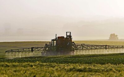 Un estudi liderat pel CSIC avalua el risc de la presència de fitosanitaris en Doñana i Tablas de Daimiel