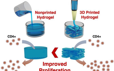 Síntesi a gran escala de cèl·lules per combatre el càncer mitjançant hidrogels biohíbrids i impressió 3D