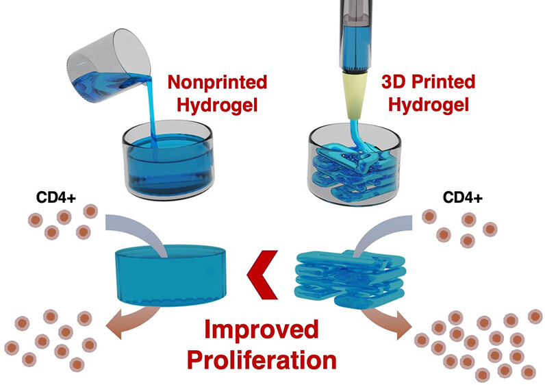 Increment de la proliferació de cèl·lules T imprimint en 3-dimensions hidrogels biohíbrids amb estructura de ganglis limfàtics Increment de la proliferació de cèl·lules T imprimint en 3-dimensions hidrogels biohíbrids amb estructura de ganglis limfàtics