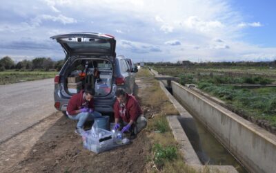 El CSIC analiza las aguas subterráneas afectadas por la DANA de Valencia