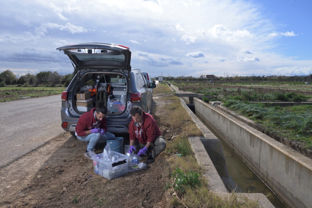 Investigadores del IDAEA-CSIC toman muestras de agua en canales de riego de la zona afectada por la DANA de Valencia. / Alejandro Muñoz – IDAEA-CSIC | Ayuda CSIC-FBBVA de Comunicación Científica 2023