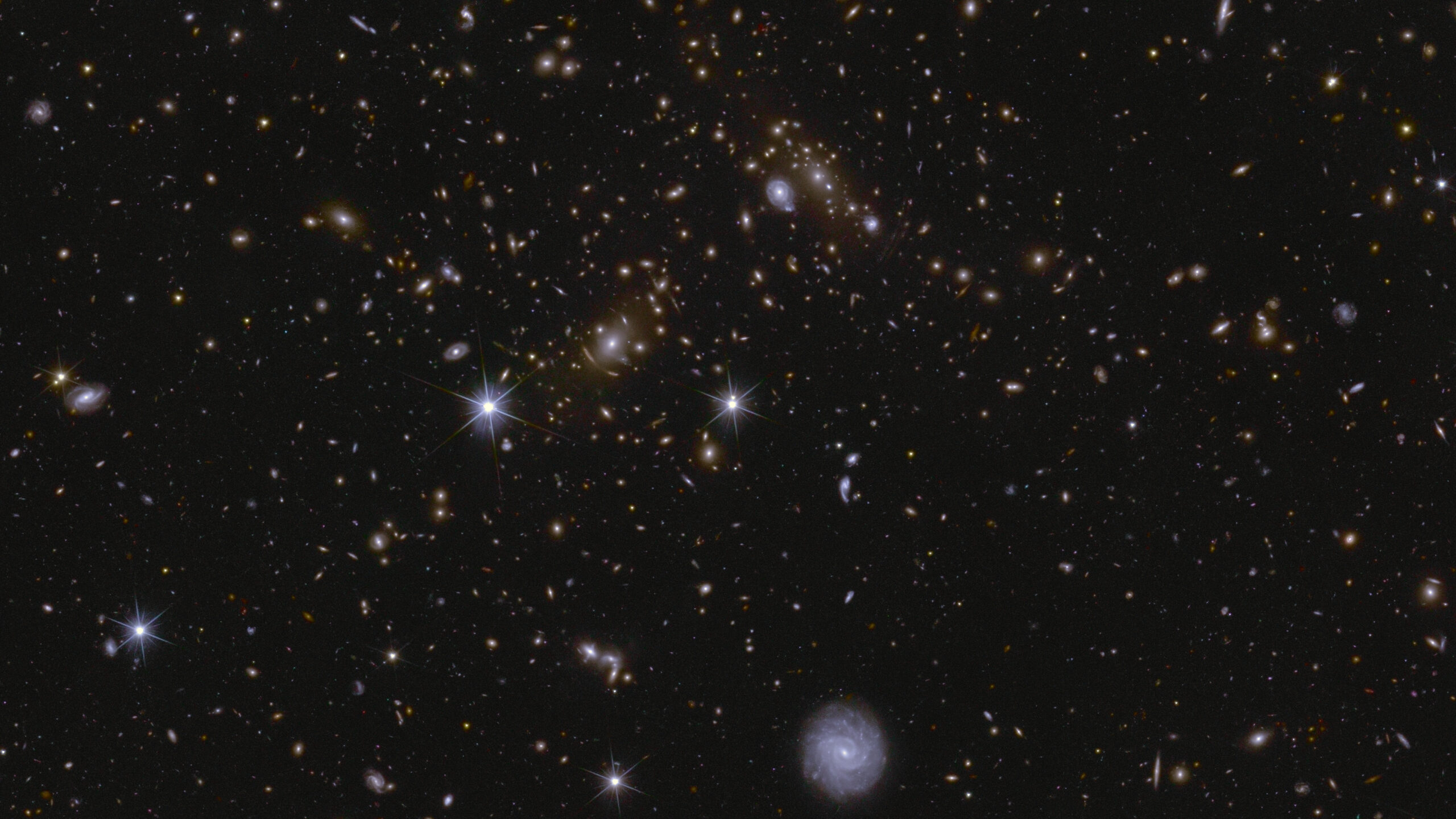 En esta imagen de una zona del Campo Profundo Sur de Euclid se aprecian varios cúmulos galácticos enormes, así como luz intracúmulo y lentes gravitacionales. El cúmulo cercano al centro se denomina J041110.98-481939.3 y se encuentra a casi 6.000 millones de años luz de distancia. Créditos: ESA/Euclid/Consorcio Euclid/NASA, procesamiento de imágenes por J.-C. Cuillandre, E. Bertin, G. Anselmi.