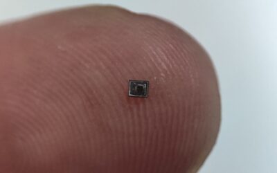 Un nou microxip permetrà analitzar líquids en temps real per predir riscos mediambientals i alimentaris