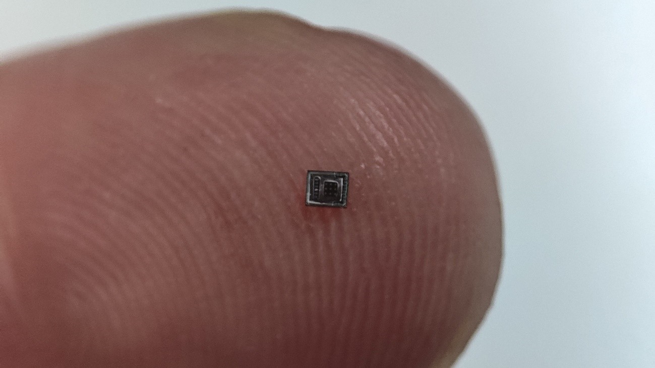 Chip de Aiquos. Chip de Aiquos.